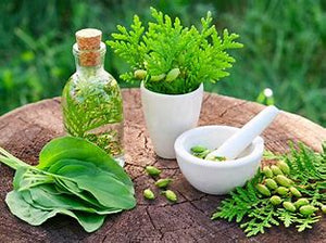 Embracing Eco-Friendly Hair Care: Sustainable Trends for 2024